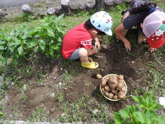 あおぞら保育園（中之郷園）トップ画像