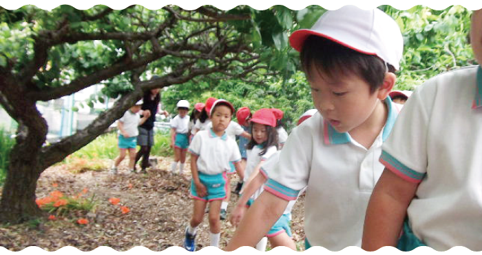 マツガネ台幼稚園トップ画像