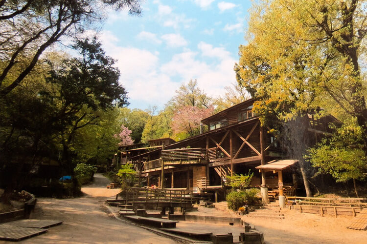 自然幼稚園トップ画像