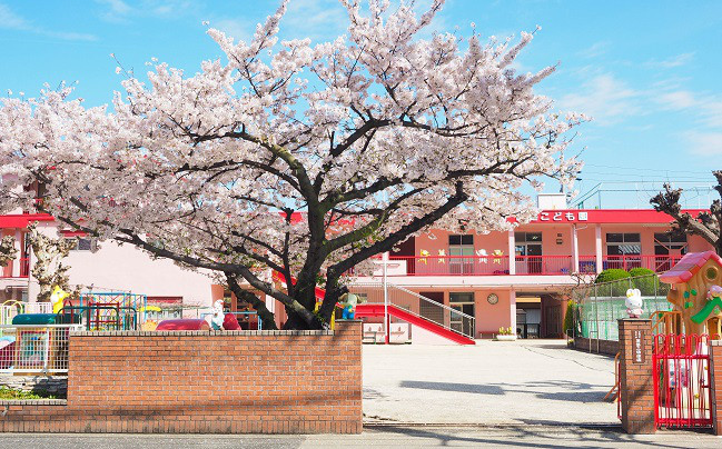 認定こども園葵第二幼稚園トップ画像