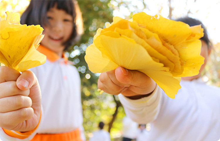 幼保連携型認定こども園むかい山こども園トップ画像